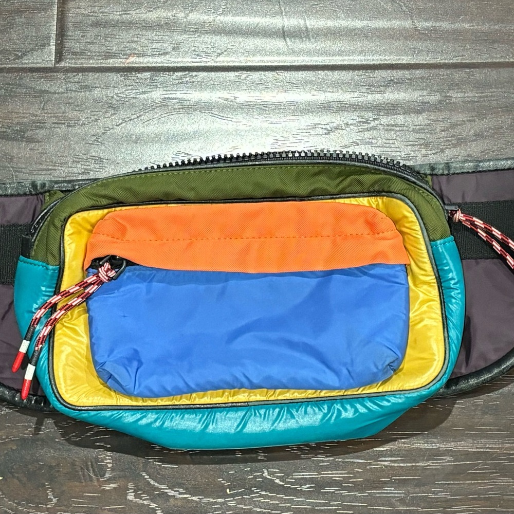 Moncler waist bag